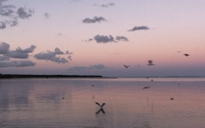 5 Topics You Need to Discuss With Your Divorce Lawyer